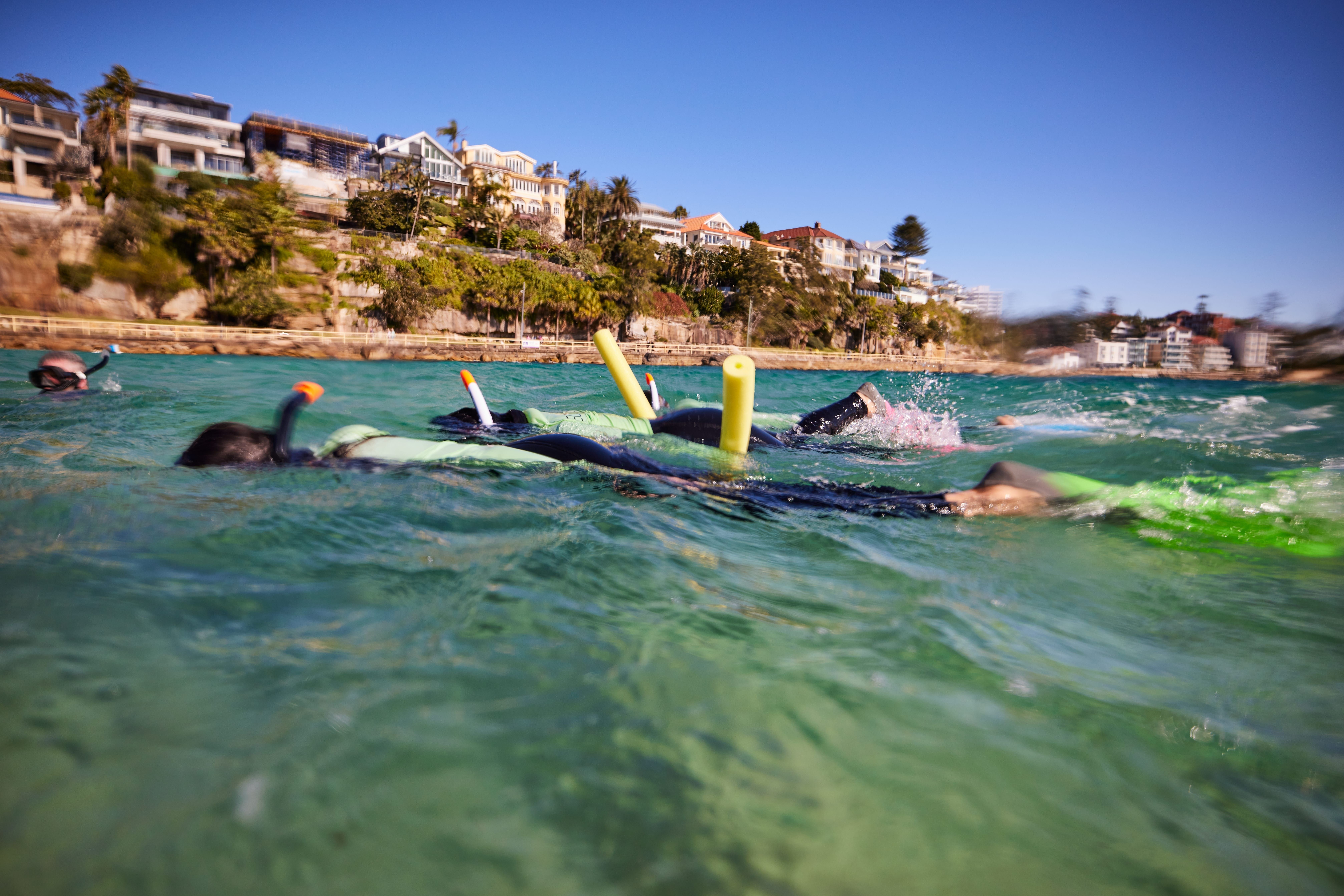 Manly Swimming Spots