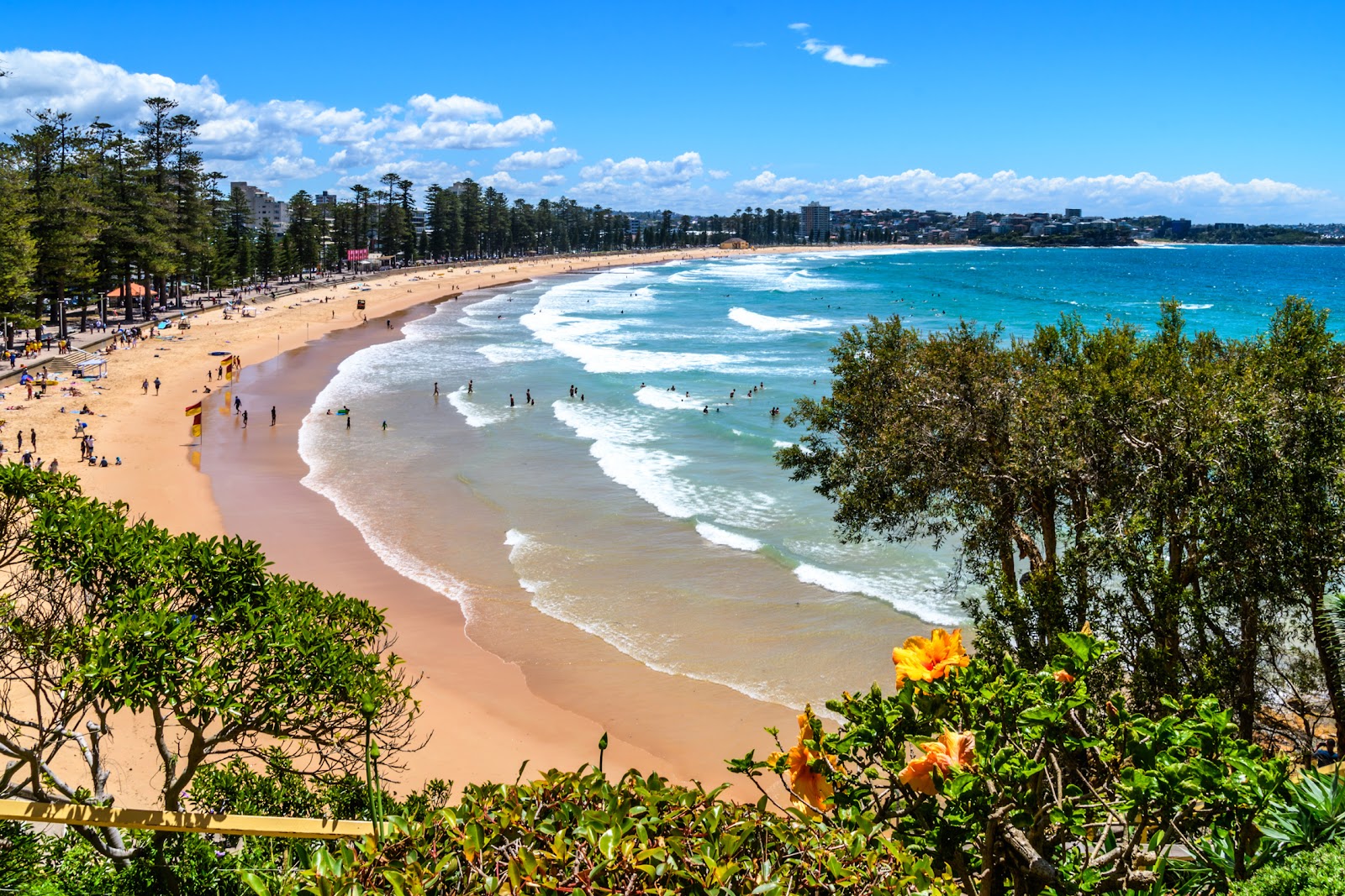 Manly Beach